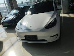 Tesla Model Y Performance All-Wheel Drive - ფოტო 3