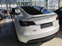 Tesla Model Y Performance All-Wheel Drive - ფოტო 5