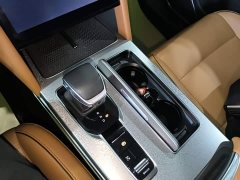 FAW Red Flag HS7 PHEV 2.0T PHEV AWD 2 Million Units Anniversary Edition 6-Seater - ფოტო 14