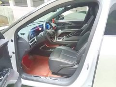 Cadillac IQ Ruige Rear-Wheel Drive Standard Range Luxury Edition - ფოტო 15