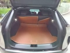 Cadillac IQ Ruige Rear-Wheel Drive Standard Range Luxury Edition - ფოტო 19