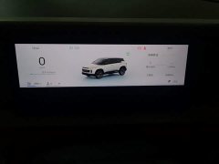 Geely ICON 2026 Chocolate 1.5TD Pure Elegance Edition - ფოტო 12