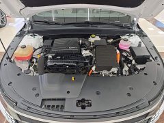 BYD Destroyer 05 2024 Glory Edition DM-i 55KM Luxury - ფოტო 20