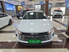 BYD Destroyer 05 2024 Glory Edition DM-i 55KM Luxury - ფოტო 3