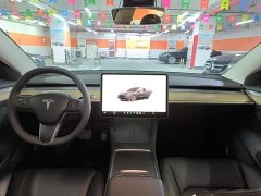 Tesla Model 3 Rear-Wheel Drive - ფოტო 10