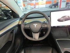 Tesla Model 3 Rear-Wheel Drive - ფოტო 11