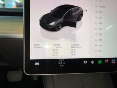Tesla Model 3 Rear-Wheel Drive - ფოტო 12