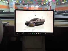Tesla Model 3 Rear-Wheel Drive - ფოტო 13