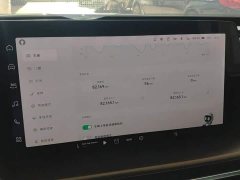 XPeng P7 P7i 702 Max - ფოტო 12