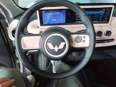 Wuling Binguo 203km Light Enjoy Edition - ფოტო 11