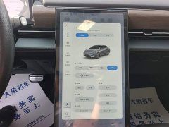 XPeng P5 2022 460E - ფოტო 13