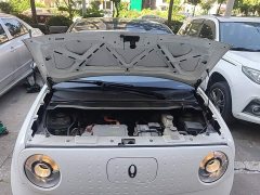 Ora Black Cat 301km Version - ფოტო 20