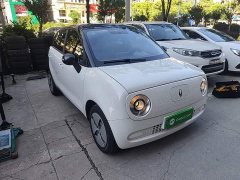 Ora Black Cat 301km Version - ფოტო 4