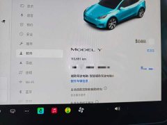 Tesla Model Y Rear-Wheel Drive - ფოტო 12