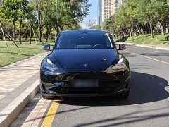 Tesla Model Y Rear-Wheel Drive - ფოტო 3