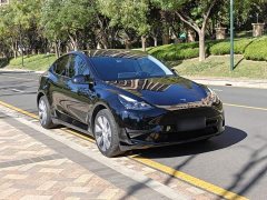 Tesla Model Y Rear-Wheel Drive - ფოტო 4