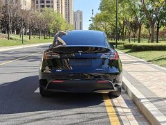 Tesla Model Y Rear-Wheel Drive - ფოტო 6