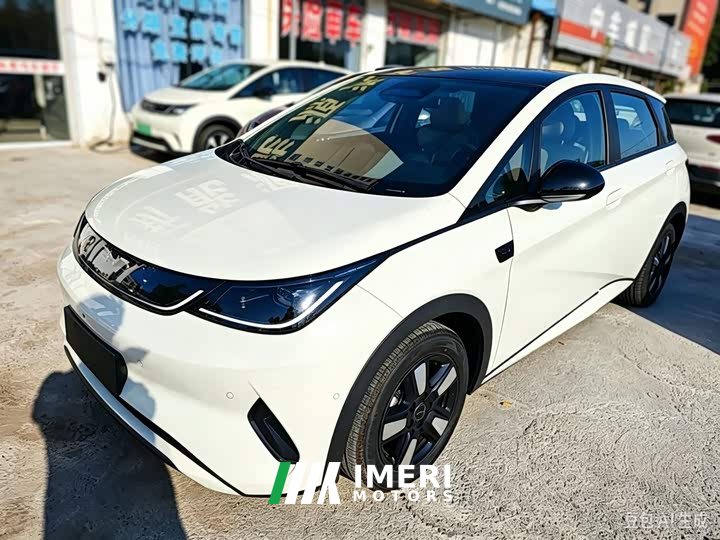 BYD Dolphin Smart Drive 410km Fashion Edition - ავტომობილი ჩინეთიდან