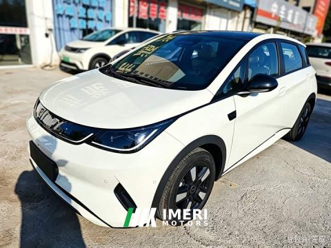 2025 BYD Dolphin Smart Drive 410km Fashion Edition - ავტომობილი ჩინეთიდან