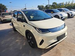BYD Dolphin Smart Drive 410km Fashion Edition - ფოტო 4