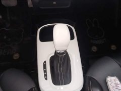 SAIC Clever 311km Vitality Pop Edition - ფოტო 10