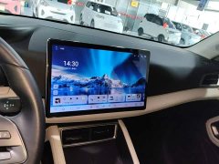 BYD Yuan UP Smart Drive 401KM Vitality Edition - ფოტო 13