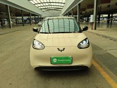 Wuling Binguo 333km Lingxi Connected Edition - ფოტო 3