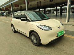 Wuling Binguo 333km Lingxi Connected Edition - ფოტო 4