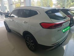 Haval H6 National Trend Edition 1.5T Automatic Urban Version - ფოტო 5