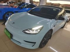 Tesla Model 3 Standard Range RWD Upgrade 3D6 - ფოტო 1