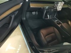 Tesla Model 3 Standard Range RWD Upgrade 3D6 - ფოტო 16