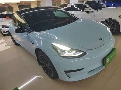 Tesla Model 3 Standard Range RWD Upgrade 3D6 - ფოტო 4