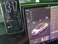 Tesla Model 3 Rear-Wheel Drive - ფოტო 10