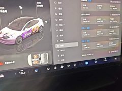 Tesla Model 3 Rear-Wheel Drive - ფოტო 8