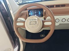 FAW Besturn Xiaoma 222km Colorful Edition - ფოტო 11