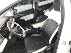 Geely Geometry E Firefly 401km Fluorescent - ფოტო 15