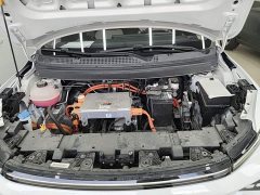 Geely Geometry E Firefly 401km Fluorescent - ფოტო 20