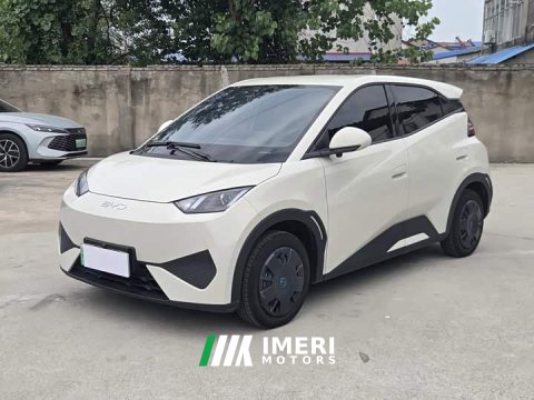 2025 BYD Seagull Smart Drive 305km Vitality Edition - ავტომობილი ჩინეთიდან