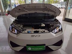 BYD Seagull Smart Drive 305km Vitality Edition - ფოტო 10