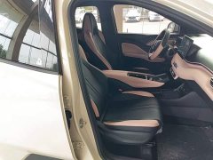 BYD Seagull Smart Drive 305km Vitality Edition - ფოტო 17