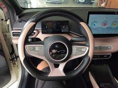 BYD Seagull Smart Drive 305km Vitality Edition - ფოტო 3