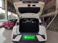 BYD Seagull Smart Drive 305km Vitality Edition - ფოტო 9