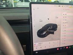 Tesla Model 3 2023 Rear-Wheel Drive - ფოტო 14