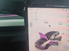 Tesla Model 3 Rear-Wheel Drive - ფოტო 10