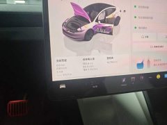 Tesla Model 3 Rear-Wheel Drive - ფოტო 8