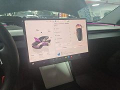 Tesla Model 3 Rear-Wheel Drive - ფოტო 9