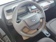 Wuling Hongguang MINIEV 2022 Zizai Edition LFP Battery - ფოტო 11