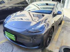 Tesla Model Y Long Range All-Wheel Drive - ფოტო 1