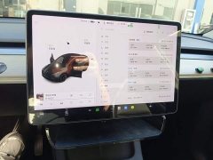 Tesla Model Y Long Range All-Wheel Drive - ფოტო 13