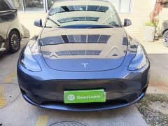 Tesla Model Y Long Range All-Wheel Drive - ფოტო 3